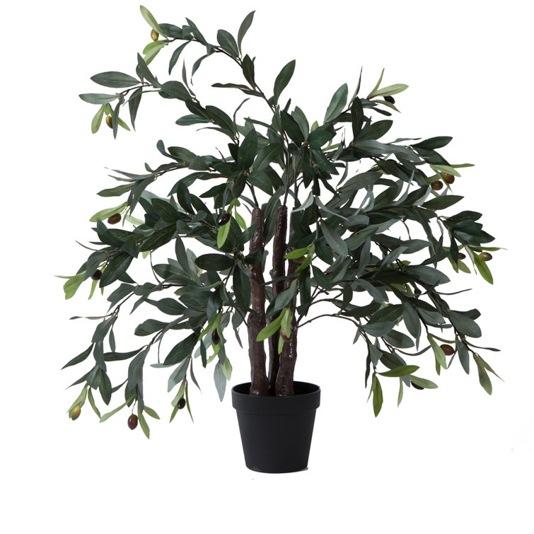 Birch Lane™ Artificial Olive Tree & Reviews Wayfair